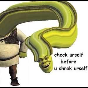 Meet your Posher, Kylee